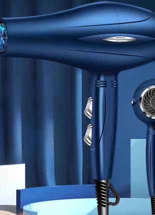 Professional Salon Hair Dryer Diffuser - High Power, Constant Temperature Control, Hot & Cold Air, Non-Damaging Styling Tool for Women - Perfect Gift for Salon Use, Stylists, and Home Hair Care - Riparo82