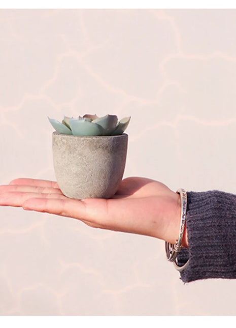Mini Artificial Aloe Plants Bonsai Small Simulated Tree Pot Plants Fake Flowers Office Table Potted Ornaments Home Garden Decor