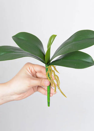 Real Touch  Artificial Green Butterfly Orchid Leaf Plastic Flower Leaf Home Wedding Party Decoration