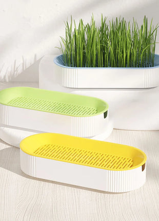 Pet Cat Sprout Dish Growing Pot Hydroponic Plant Cat Grass Germination Digestion Starter Dish Greenhouse Grow Box Excluding seed