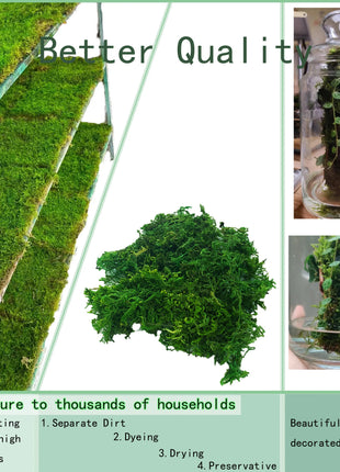 Artificial Moss Green for Potted Plant Orchid Potting Mix Peat Moss Pole Craft