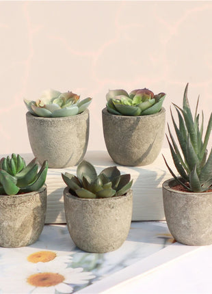 Mini Artificial Aloe Plants Bonsai Small Simulated Tree Pot Plants Fake Flowers Office Table Potted Ornaments Home Garden Decor