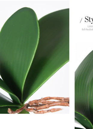 Real Touch  Artificial Green Butterfly Orchid Leaf Plastic Flower Leaf Home Wedding Party Decoration