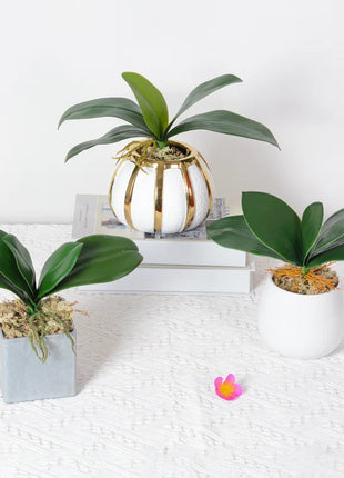 Real Touch  Artificial Green Butterfly Orchid Leaf Plastic Flower Leaf Home Wedding Party Decoration