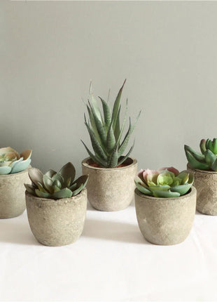 Mini Artificial Aloe Plants Bonsai Small Simulated Tree Pot Plants Fake Flowers Office Table Potted Ornaments Home Garden Decor