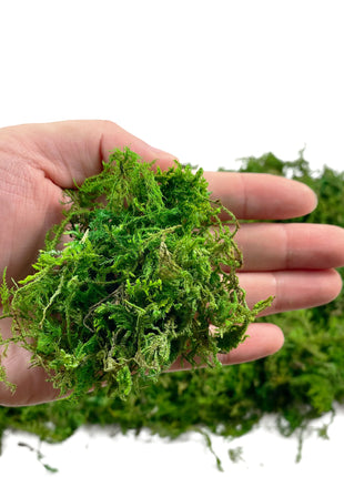 Artificial Moss Green for Potted Plant Orchid Potting Mix Peat Moss Pole Craft