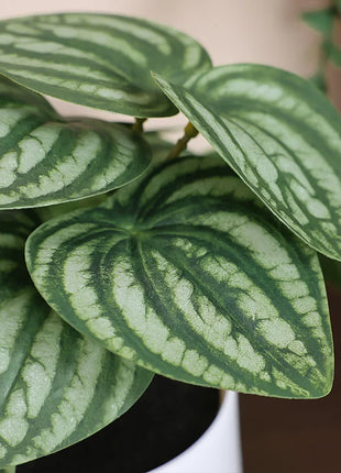 1PC Simulated Plant Potted Plant, Business Office Desktop, Foyer, Garden, Garden, Floral And Home Decoration