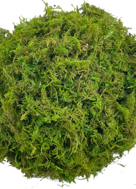 Artificial Moss Green for Potted Plant Orchid Potting Mix Peat Moss Pole Craft