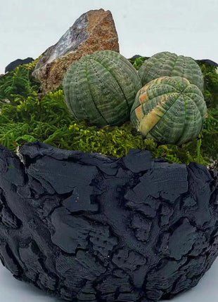 Artificial Moss Green for Potted Plant Orchid Potting Mix Peat Moss Pole Craft