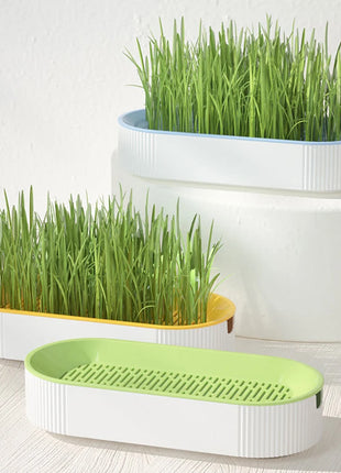 Pet Cat Sprout Dish Growing Pot Hydroponic Plant Cat Grass Germination Digestion Starter Dish Greenhouse Grow Box Excluding seed