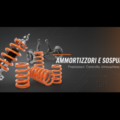 Collection image for: Ammortizzatori e Sospensioni Auto - Ricambi Qualità