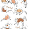 Cibo per Gatti