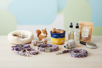 Pet Accessories