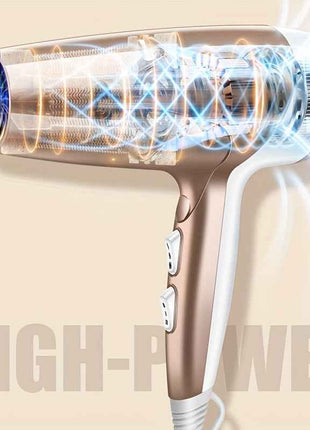 Professional 2000W High-Power Ionic Hair Dryer - Fast Drying, Low-Noise, Constant Temperature Control, Healthy Hair Care, Anti-Frizz, and Shine Enhancing for Salon-Quality Results at Home - Safe, Easy to Use, and Compact Desi