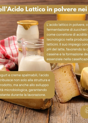 Acido Lattico in Polvere