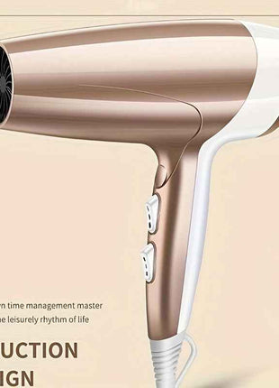 Professional 2000W High-Power Ionic Hair Dryer - Fast Drying, Low-Noise, Constant Temperature Control, Healthy Hair Care, Anti-Frizz, and Shine Enhancing for Salon-Quality Results at Home - Safe, Easy to Use, and Compact Desi