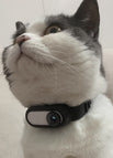 Black / Black Collar Camera