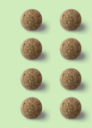 Cat mint 8pieces