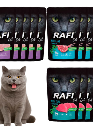 Rafi per gatti sterilizzati 15 × 100 g - mix 3 gusti (5 pz ciascuno): Coniglio, tonno, Agnello