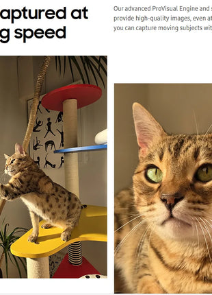 Samsung Galaxy S25 5G | 50MP | Snapdragon 8 Elite | Display 120Hz - riparo82