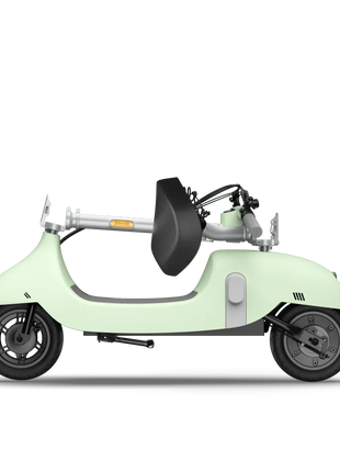 DB Electric Scooter Green with Foldable Seat 35 Mile Operating Range & 15.5mph Max Speed 8 & 10 Inch Tires 120kg Max Load - riparo82