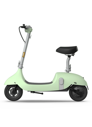 DB Electric Scooter Green with Foldable Seat 35 Mile Operating Range & 15.5mph Max Speed 8 & 10 Inch Tires 120kg Max Load - riparo82