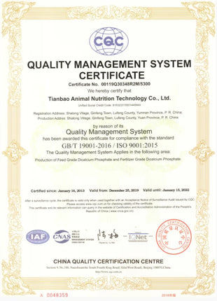 36 Colors Set, Fine Glitter for Resin, Arts and Craft Supplies Glitter, Cosmetic for Body Nail Face Hair Eyeshadow Lip Gloss Mak - Riparo82