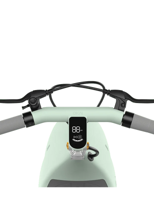 DB Electric Scooter Green with Foldable Seat 35 Mile Operating Range & 15.5mph Max Speed 8 & 10 Inch Tires 120kg Max Load - riparo82