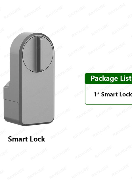 Locking mechanism detail with anti-theft pin