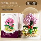Carnation