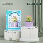 succulent Potted Plant-money Strings