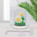 Small White Chrysanthemum