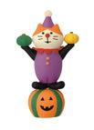 Pumpkin Clown Cat Is Available In Another Link