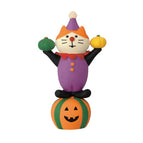Pumpkin Clown Cat Is Available In Another Link