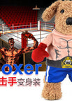 Boxer / S