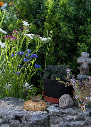 Resin Key Box Garden Hider Outdoor House for outside Lifelike Turtle Statue Holder Bracket - Riparo82