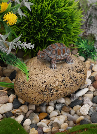 Resin Key Box Garden Hider Outdoor House for outside Lifelike Turtle Statue Holder Bracket - Riparo82