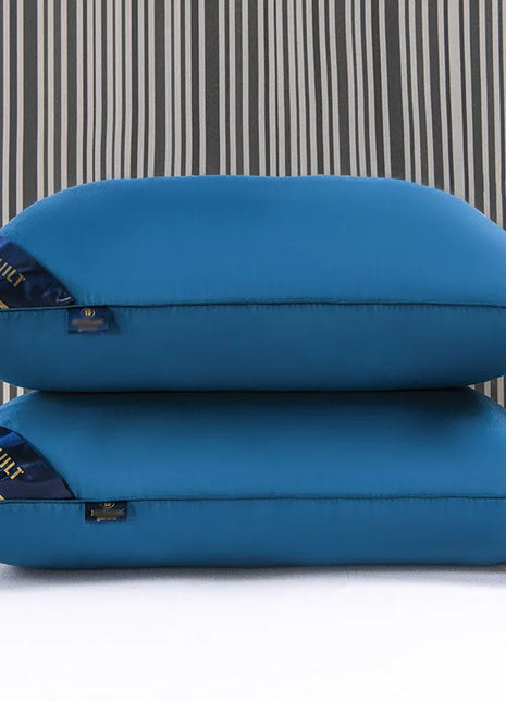 Sleeping Pillows for bedroom double top bed stuffed Hotel Five-star viscoelastic soft orthopedic pillow 48*74 extension Cushion - Riparo82