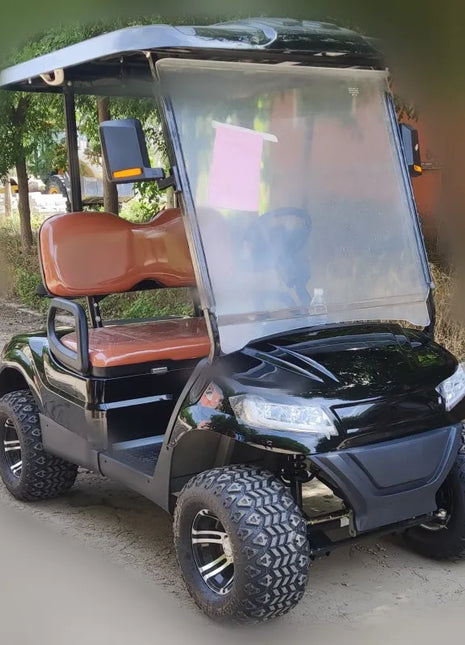 Latest Trends Golf Carts 48V 4KW Motor 2 4 Seater Golf Buggy Cart Electric with Golf Bag Straps and Basket - Riparo82