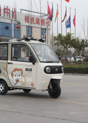 Trike Elettrico Alta Velocità Adulti 72V - Triciclo 3 Ruote Doppi Freni Economico - riparo82