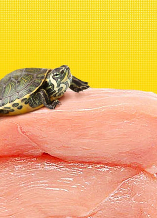 BESSN Aquatic Turtle Food - High Protein Freeze-Dried Shrimp&Meat Mix for Red-Eared Slider,Snapping Turtle&Terrapin - Riparo82