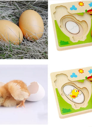 Puzzle 3D in legno Pulcino che cresce le galline che ponde le uova Processo Puzzle Apprendimento Educazione Giocattoli Montessori - riparo82
