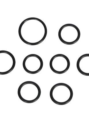 10 Kits 246355 Complete O-Ring Rebuild Kit For Graco Fusion AP Sprayers Orings - Riparo82