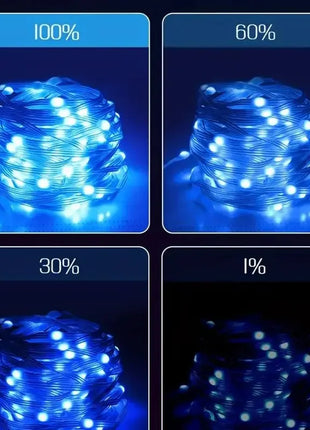 USB 5V Smart RGB-IC Fata Stringa di luci Luci di Natale Decorazioni Lampada Ghirlanda WS2812 APP Bluetooth e telecomando indirizzabile