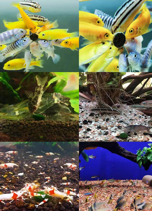 200 pieces of spirulina, aquarium pet, red shrimp, mouse fish, benthic fish, fish food - Riparo82