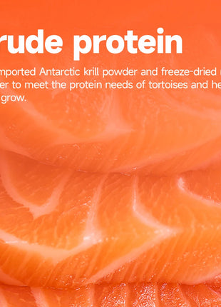 Turtle Food High Protein and High Nutrition Special Food for Chinese Pond Turtles - Riparo82