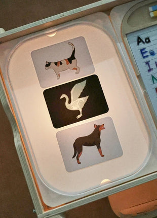 Tavolo sensoriale ottico in legno per bambini Montessori utilizzato per giochi da tavolo sensoriali Regalo di giocattoli per l'ortografia di numeri e lettere - riparo82