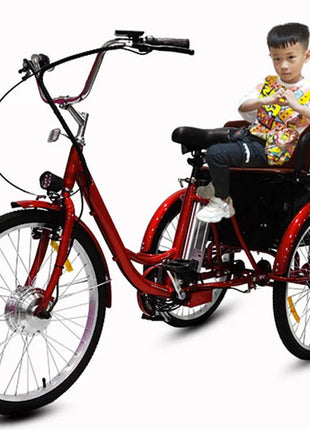 3 Wheel Electric Tricycle Cargo Bike 20 Inch 350w 48v Family Electric Wheel For Bicycle For Women Man Adult With Pull Basket - Riparo82
