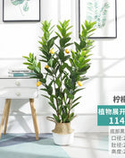 Simulation Green Plant Simulation Lemon Tree Pot Large Green Plant Bonsai Shopping Mall Restaurant Decoration on The Ground