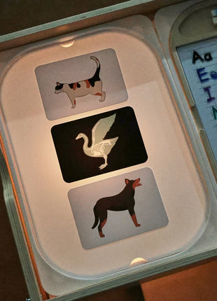 Tavolo sensoriale ottico in legno per bambini Montessori utilizzato per giochi da tavolo sensoriali Regalo di giocattoli per l'ortografia di numeri e lettere - riparo82